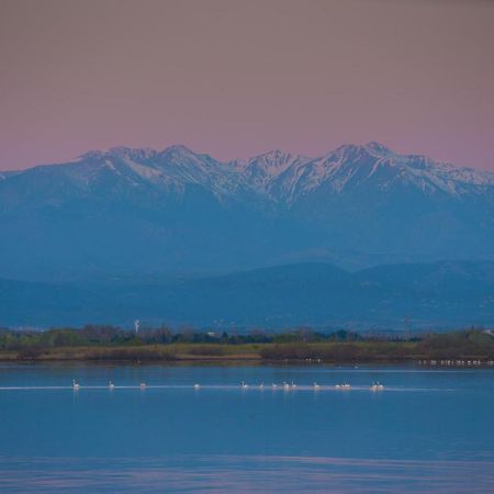 CHILL magnifique vue sur la mer et le port au coeur de la ville en première ligne Canet-en-Roussillon Esterno foto